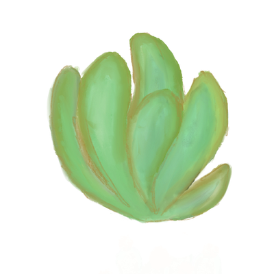 plant 7